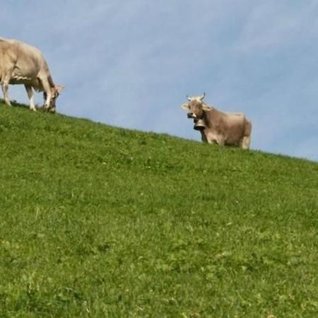 Bauernhof Hasenbueel Leilighet Sankt Peterzell Eksteriør bilde